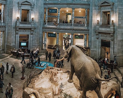 Semi-Private Smithsonian Museums Tour for 8