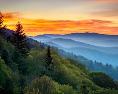 3-Hour UTV Rental in Pigeon Forge
