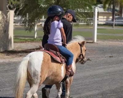 Humacao 10-Minute Pony Tour