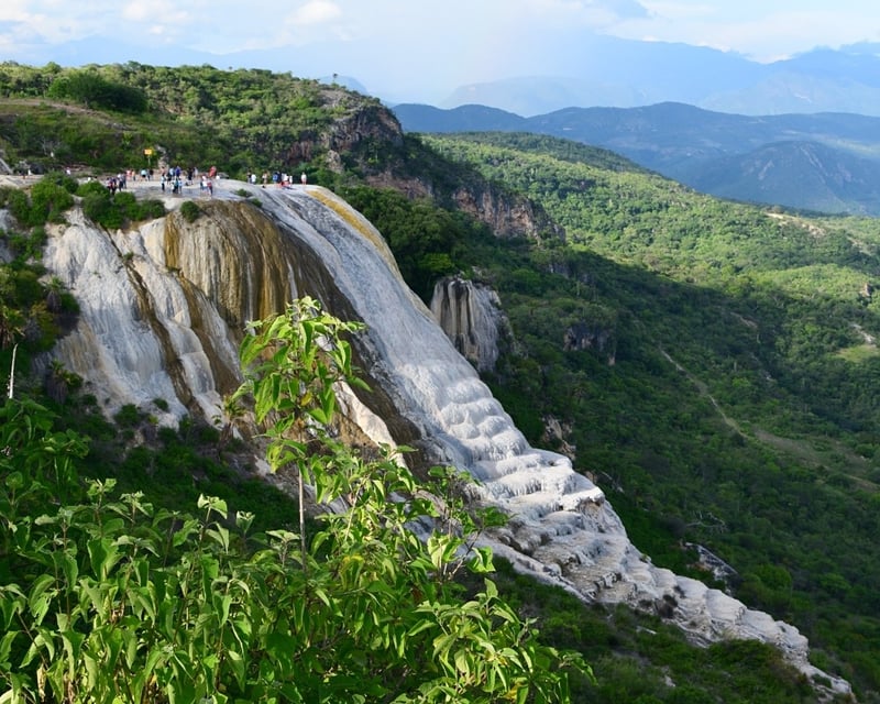 Hierva del Agua & Mezcal Private Tour