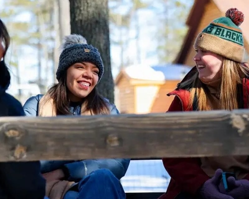 Horse-Drawn Sleigh Ride Through Snowy Woods in Gwinn