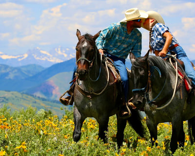 Private Sunset Horseback Ride Near Jackson