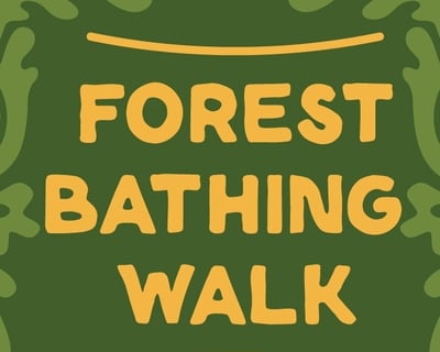 Guided Forest Bathing Walk in Naples