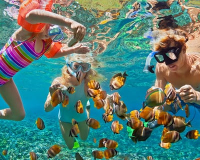 Explore Oahu Full-Day Circle Island Guided Tour