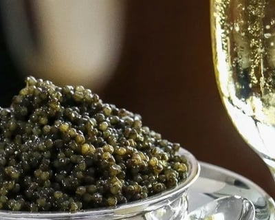 Napa Wine Tasting & Dinner Tour