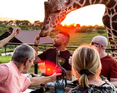 Sunset Safari Dinner in McGregor