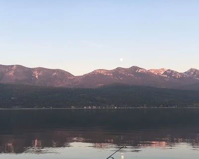 Wild Horse Island 4-Hour Boat Tour on Flathead Lake