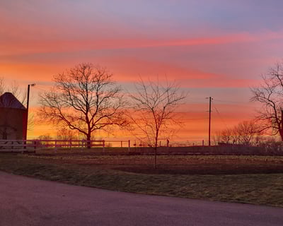 Lancaster City Walk and Amish Country Driving Tour