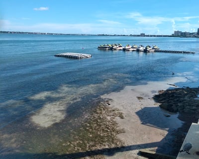 Freestyle Jet Ski Rental in Clearwater Beach