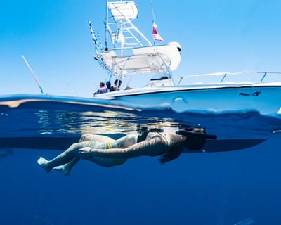 8-Hour Island Cruise in San José del Cabo