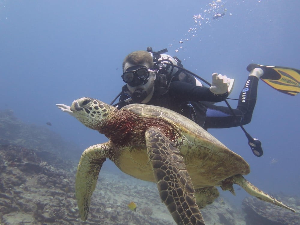 Small Group Waikiki Snorkel with Turtles & Gear