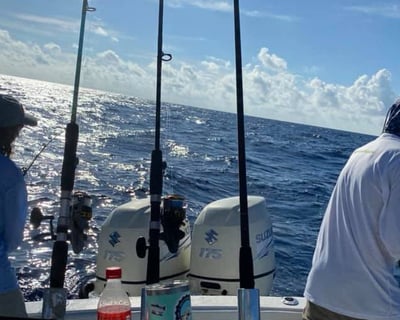 Key West 4-Hour Fishing Charter