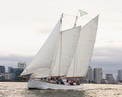 Sail Boston Harbor on a 1.5-Hour Day Cruise