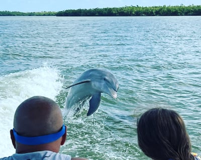 Private Dolphin Watching Boat Tour, Marco Island