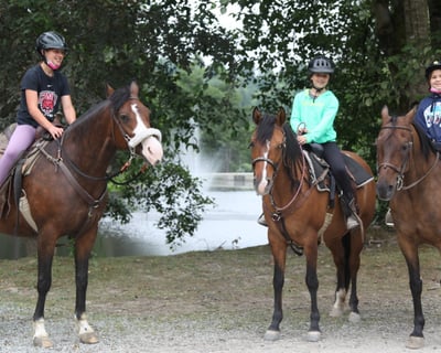 Guided Birthday Trail Ride in Mount Vernon