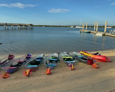 St. Augustine Dolphins and Wildlife Clear Kayak Tour