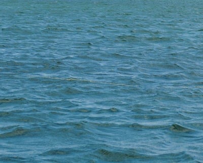 Private Boat Charter in Martha's Vineyard