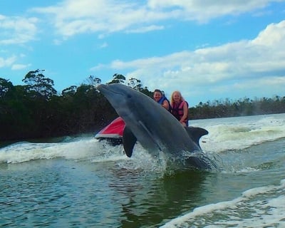 Dolphin Jet Ski Tour in Marco Island