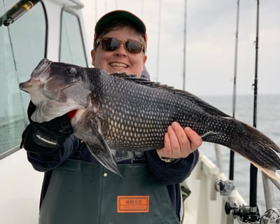 10-Hour Offshore Seabass Fishing Trip