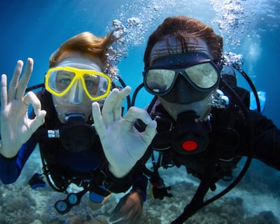 Wreck & Reef Scuba Diving Tour in Oahu