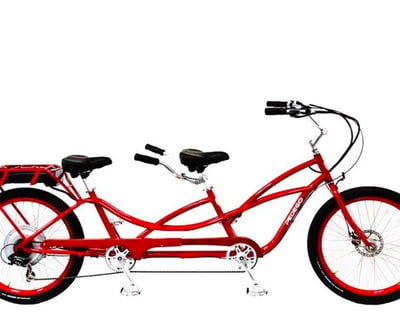 Savannah Electric Tandem Bike Rental