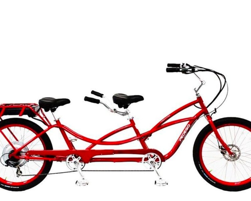Savannah Electric Tandem Bike Rental