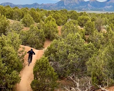 Phil's World Guided Mountain Bike Tour