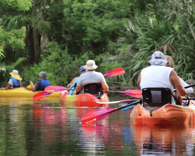 2-Hour Guided Kayak Tour in Vero Beach
