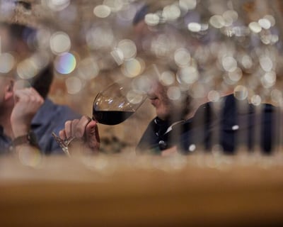 8-Wine Hungarian Tasting in Budapest