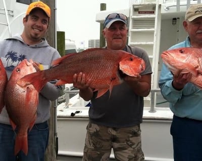 Fish On A 10-Hour Deep Sea Trip In Destin