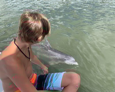 Dolphin Watching Tiki Boat Tour in Hilton Head