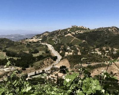 Malibu Wine Tasting Day Tour