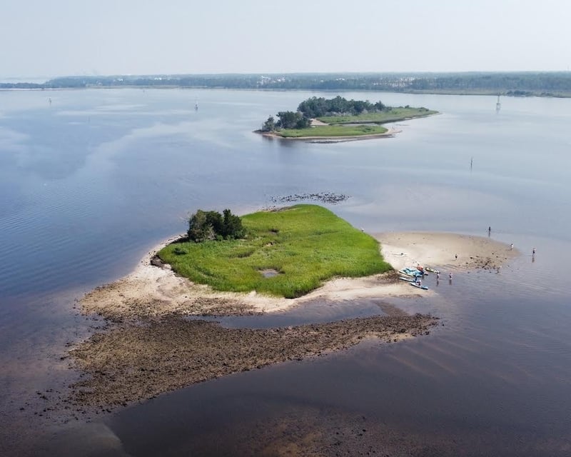 Shark Tooth Island Kayak & Fossil Hunt in Wilmington