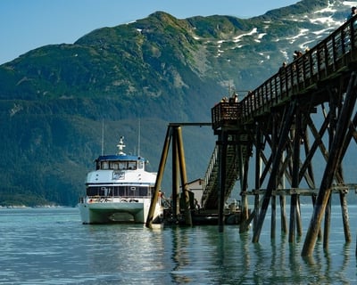 Skagway to Haines Ferry: 45-Minute Fjord Ride
