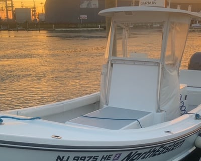 Sea Bass Fishing Charter in Sea Isle City