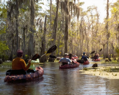 3-Hour Guided Manchac Swamp Kayak Tour