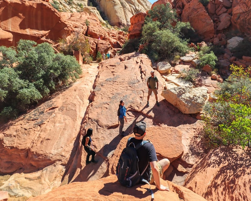 Red Rock Canyon Hike & Rock Scramble from Las Vegas