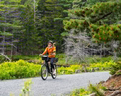 Full Day Ebike Rental Starting Inside Acadia