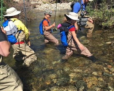 4-Hour Private Fly Fishing Tour in Yosemite