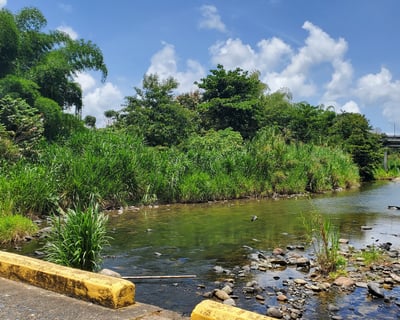 3-Hour Historical Walking Tour of San Lorenzo