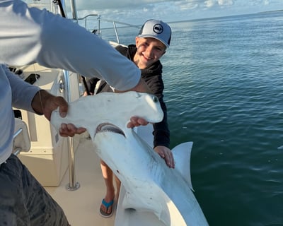 Inshore & Backwater Fishing Charter From Marco Island