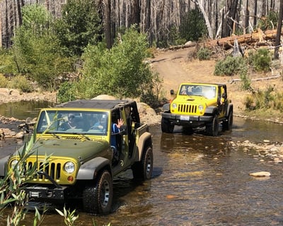 Yosemite 3-Hour Guided Jeep Tour