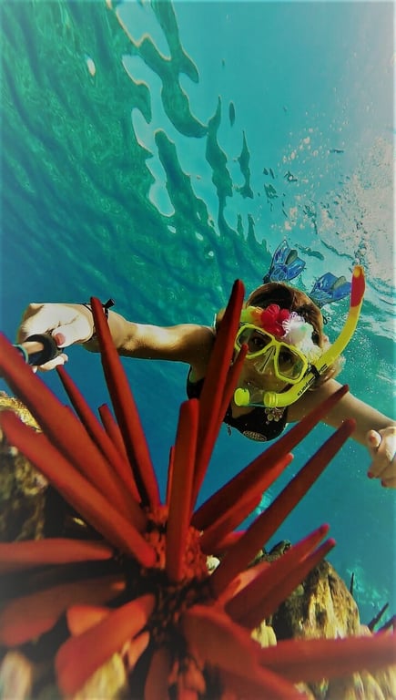 Molokini Crater Snorkel with Sea Turtles
