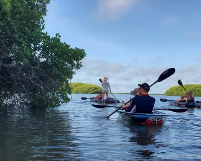 Shell Key Preserve Clear Kayak Tour