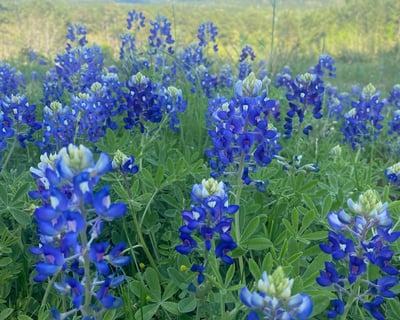 All-Day Hiking & Photo Pass in LaRue
