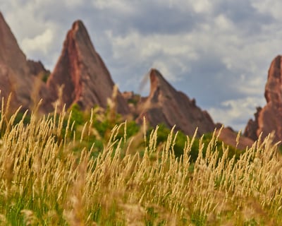 Half-Day Private Nature Tour for Couples