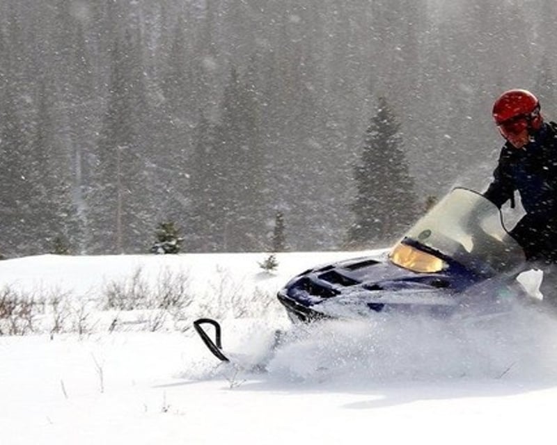Salida 2-Hour High-Pace Snowmobile Tour
