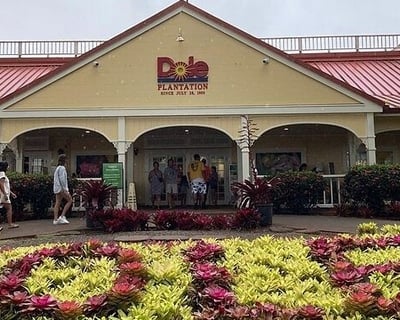 5-Hour Oʻahu Dole Plantation & North Shore Tour