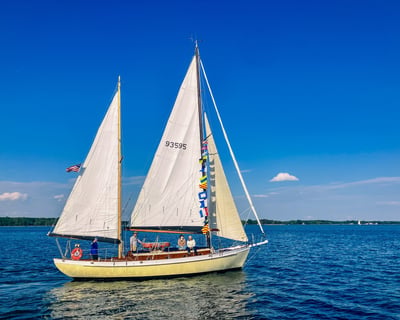 2-Hour Chesapeake Bay Day Sail in St. Michaels