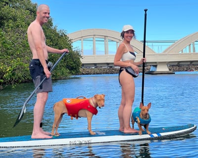 2-Hour Dog Paddle Board Rental In Haleiwa